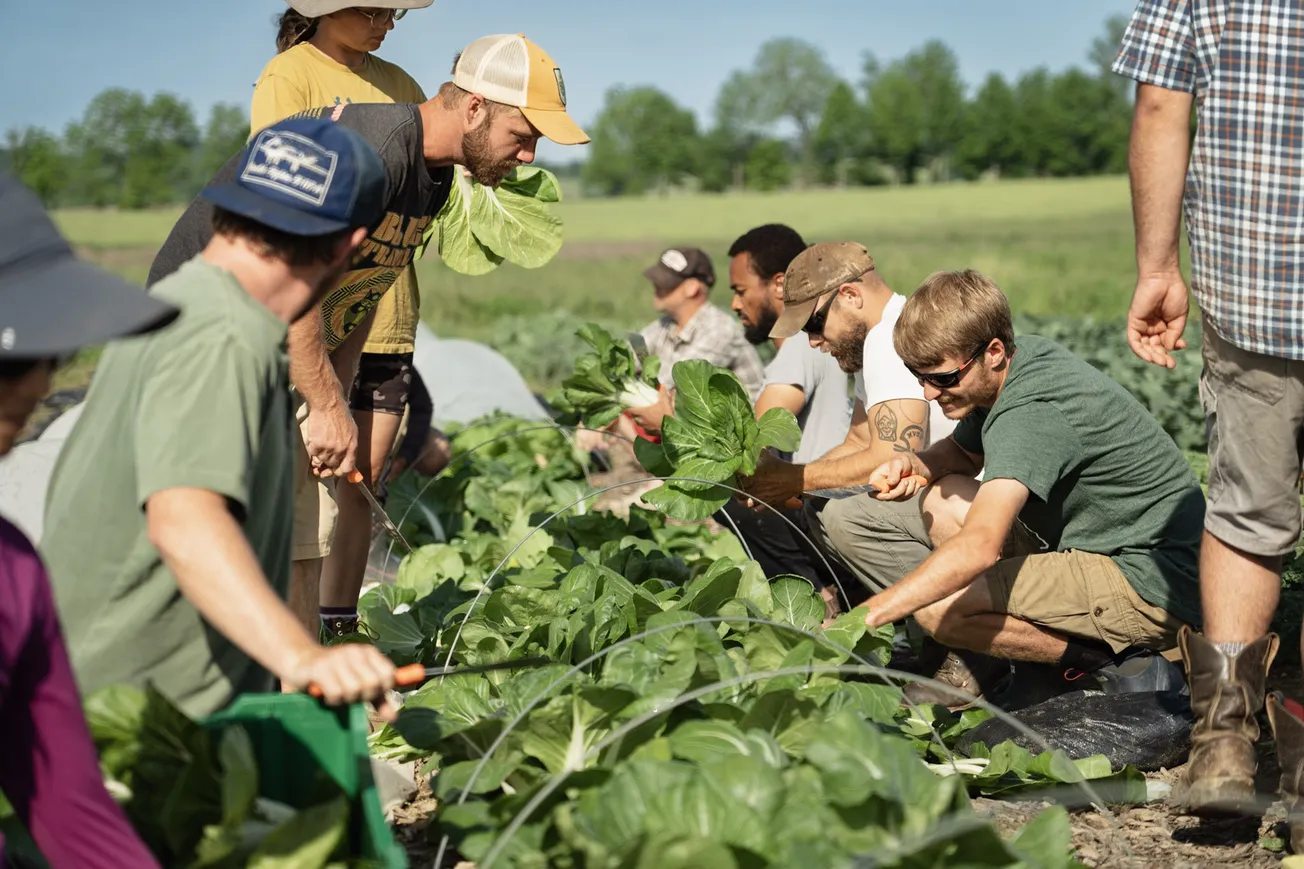 Natural Grocers exceeds $100,000 goal in Organic Month fundraiser supporting Rodale Institute