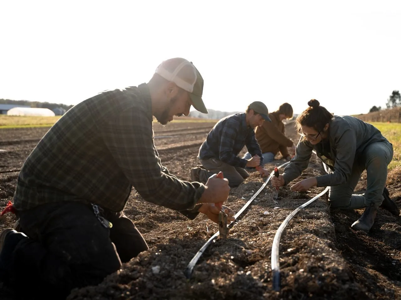 Natural Grocers and Rodale Institute honor Earth Month with annual Ladybug Love Campaign