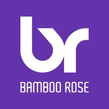 Bamboo Rose hires Steve Gordon to lead planning, analytics