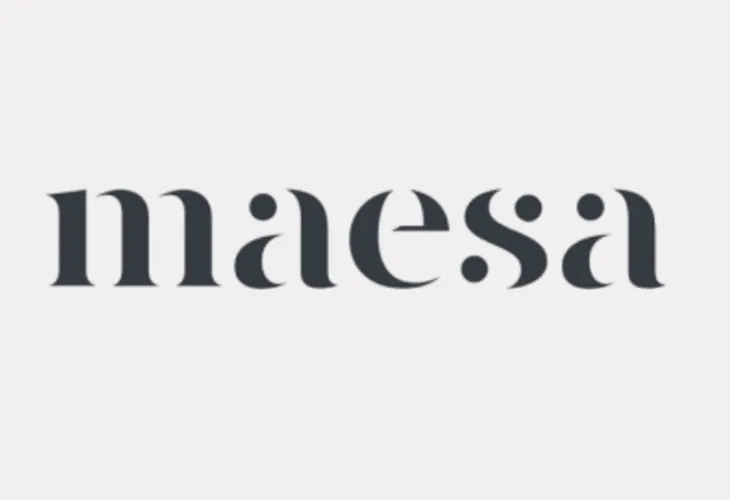 Maesa