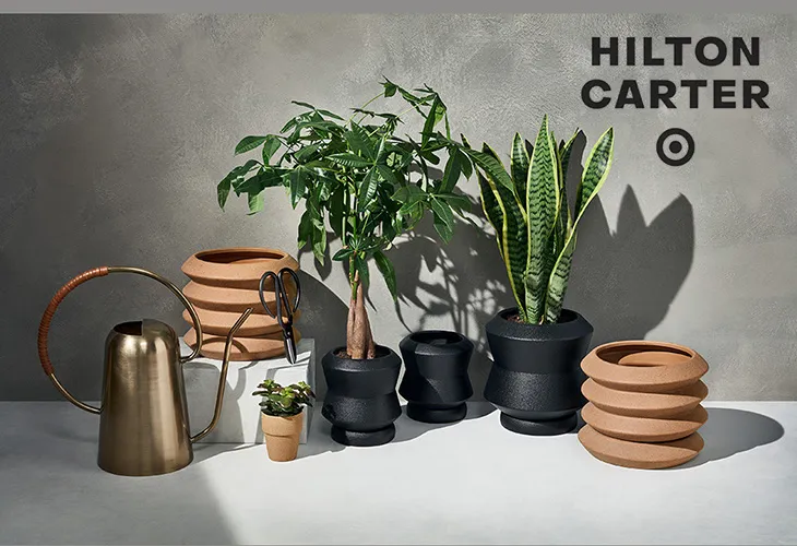 Hilton Carter Target