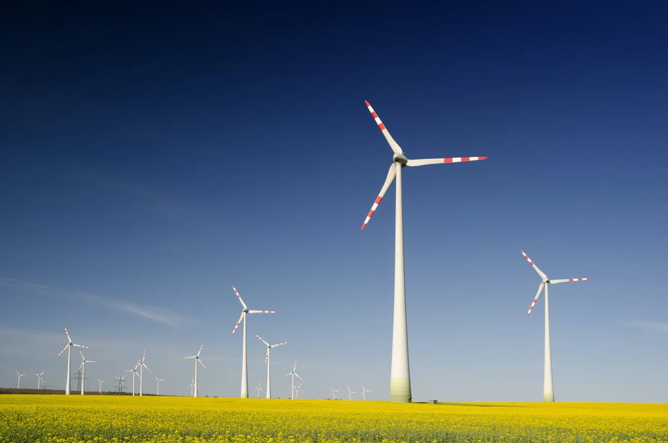 sustainability